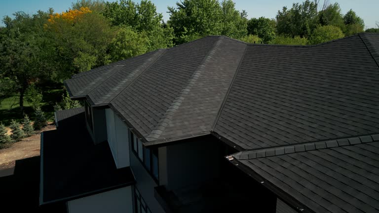 Best Roof Moss and Algae Removal  in Virginia, IL