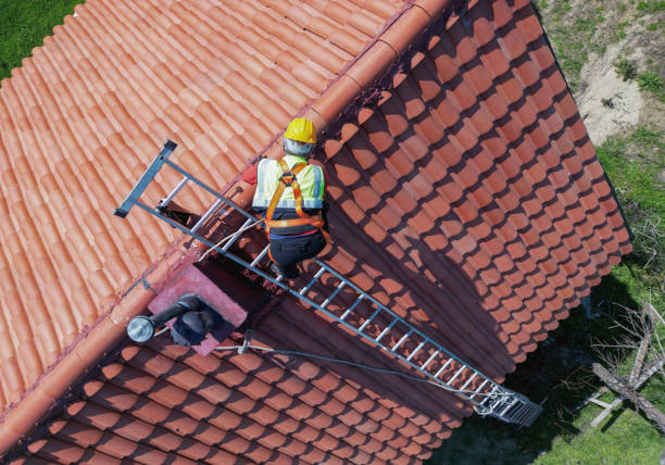 Best Asphalt Shingle Roofing  in Virginia, IL