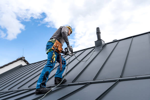 Best Roof Moss and Algae Removal  in Virginia, IL