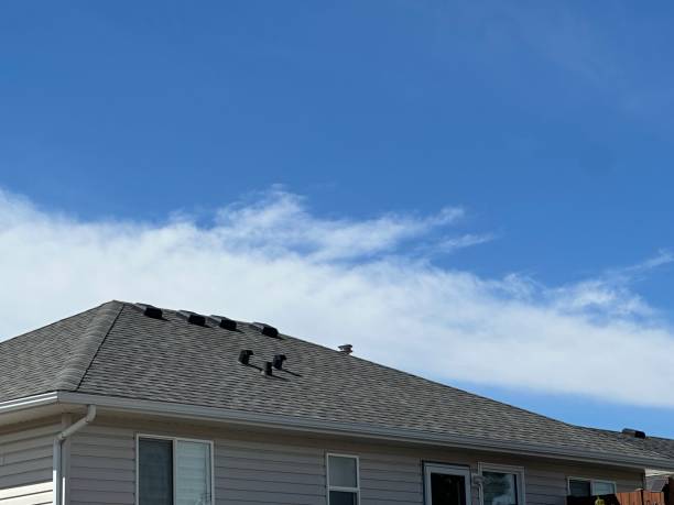 Best Slate Roofing  in Virginia, IL